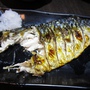 12 燒魚