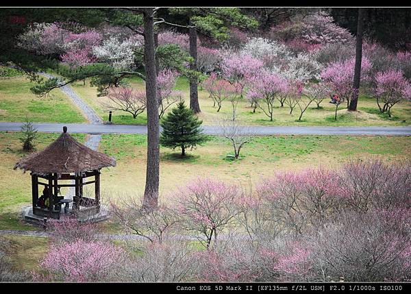 1221572596.jpg 1221572596.jpg