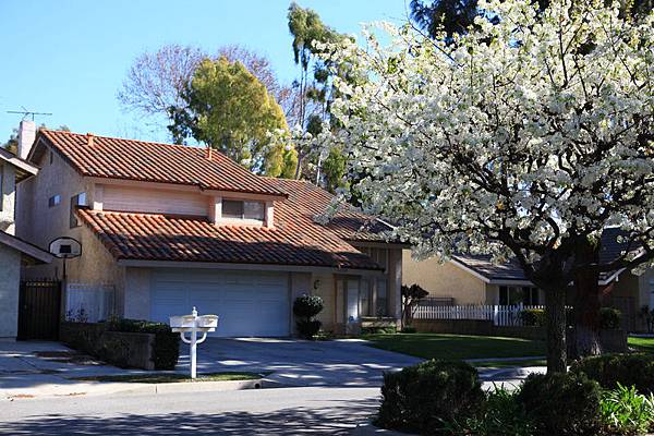 1300203813.jpg 1300203813.jpg