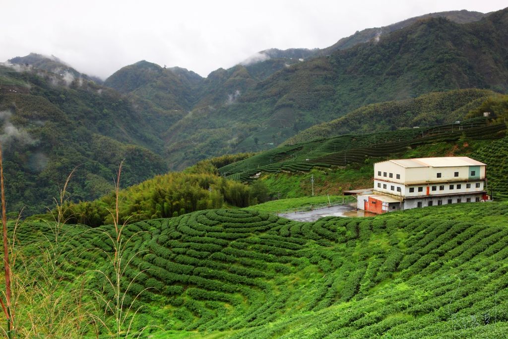 IMG_6526B.jpg IMG_6526B.jpg