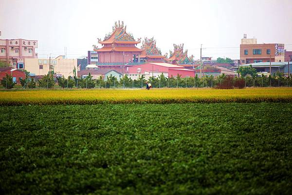 IMG_2672_副本.jpg IMG_2672_副本.jpg