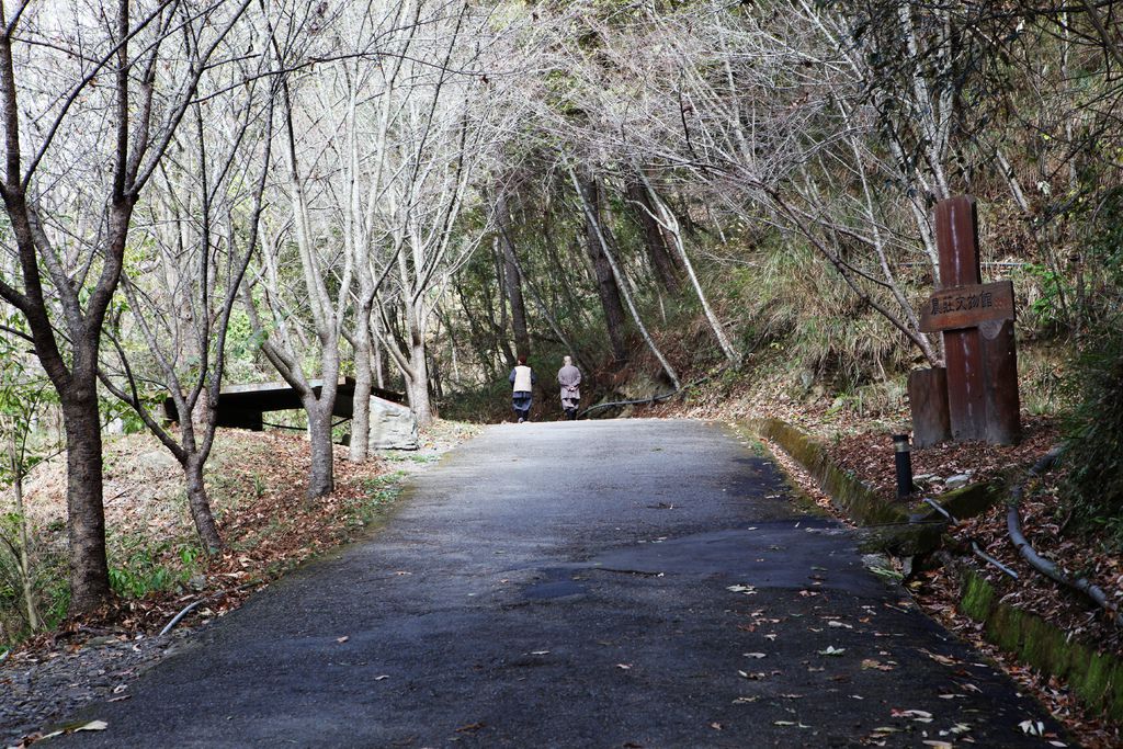 IMG_2993_副本.jpg IMG_2993_副本.jpg