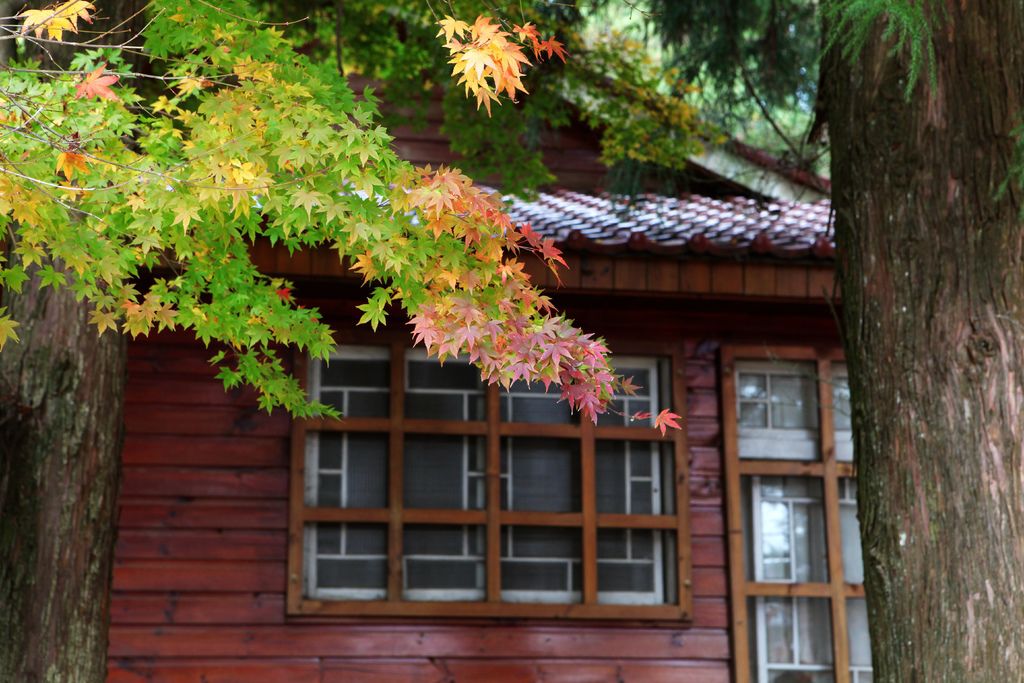 IMG_3306_副本.jpg IMG_3306_副本.jpg