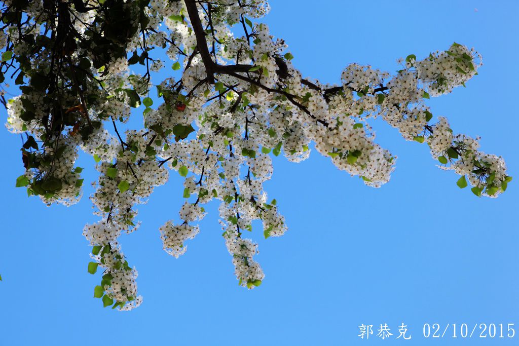 郭恭克183.jpg 郭恭克183.jpg