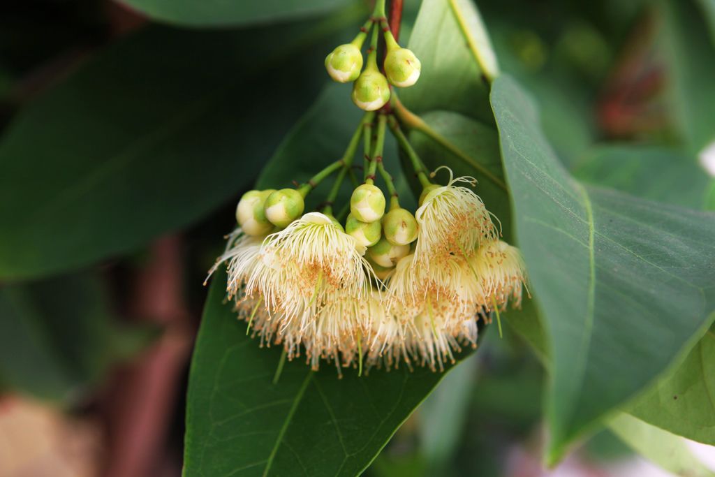 IMG_7229_副本.jpg IMG_7229_副本.jpg