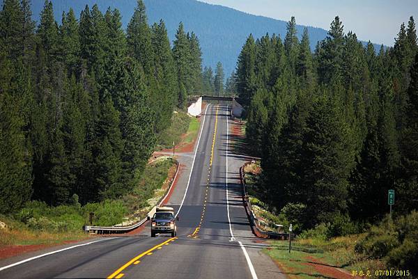 IMG_7980_副本.jpg IMG_7980_副本.jpg