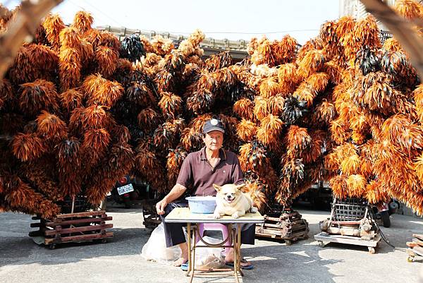 IMG_0550_副本_副本.jpg IMG_0550_副本_副本.jpg