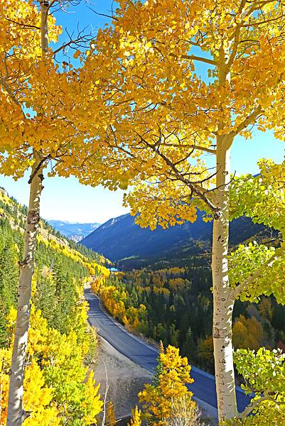 411A0430.jpg~1.jpg 411A0430.jpg~1.jpg