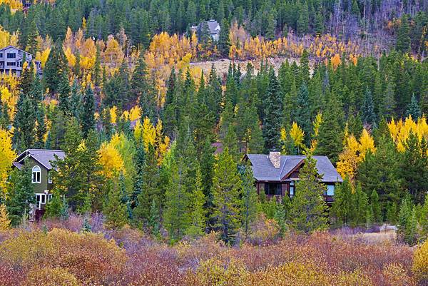 052.jpg~1.jpg 052.jpg~1.jpg