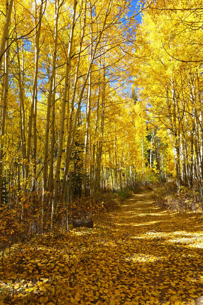 411A0595.jpg~1.jpg 411A0595.jpg~1.jpg