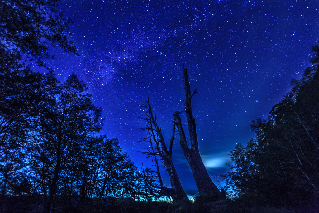 pic00200.JPG pic00200.JPG