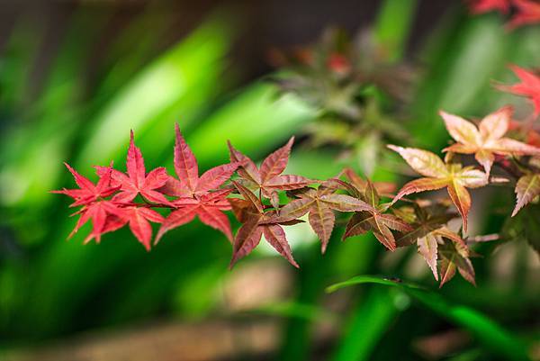 pic00509.JPG pic00509.JPG