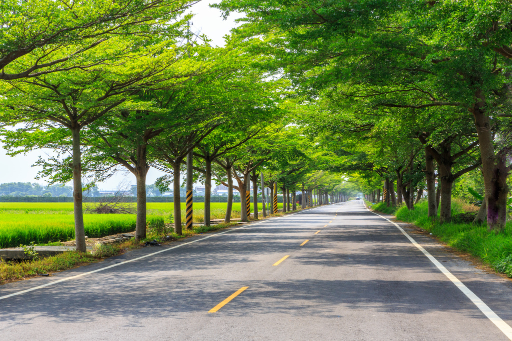 pic00584.JPG pic00584.JPG