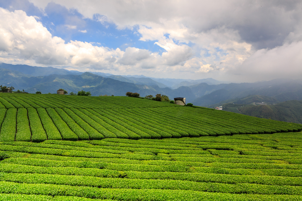 pic00628.JPG pic00628.JPG