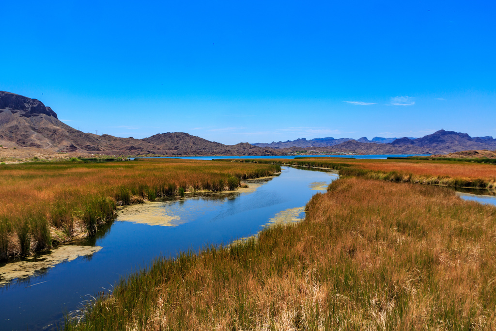 pic001193.JPG pic001193.JPG