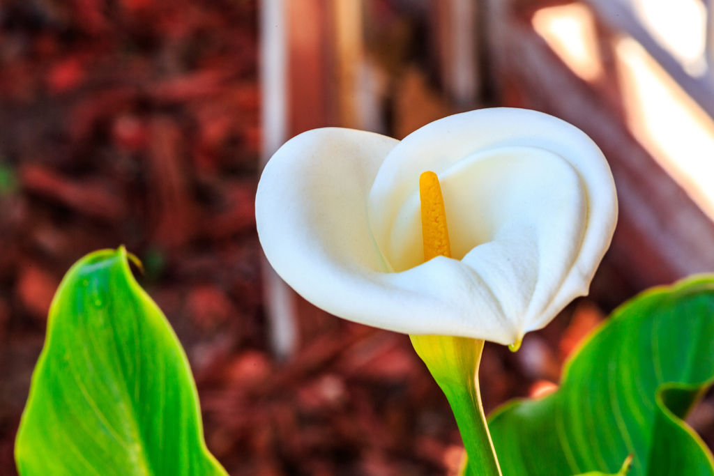 201802010297.jpg 201802010297.jpg