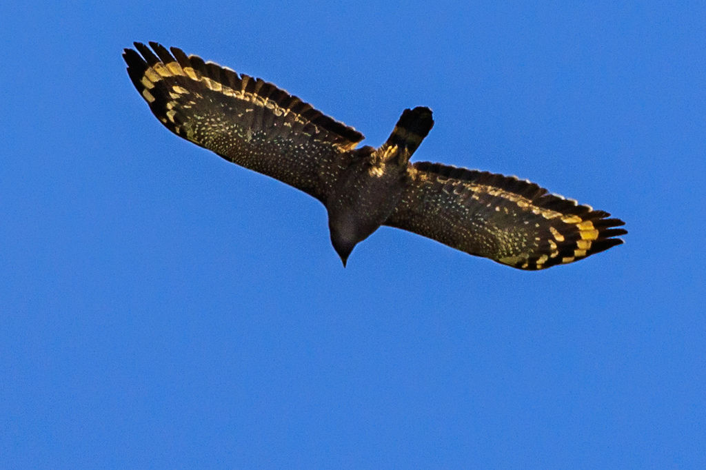 201802140308.jpg 201802140308.jpg