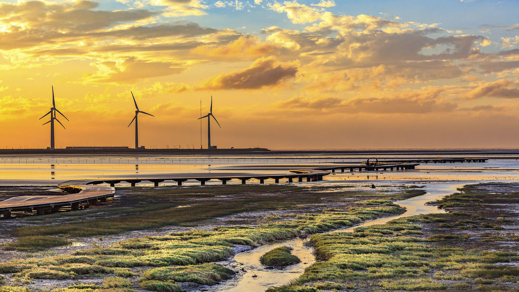 Canon EOS 5D Mark II10153~1_1.jpg Canon EOS 5D Mark II10153~1_1.jpg