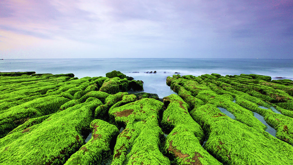 Greenstone trough.jpg