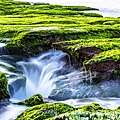 Small waterfalls and green algae~1.jpg