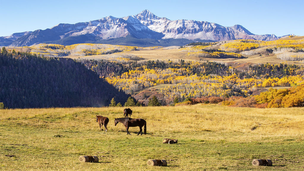 Pasture autumn