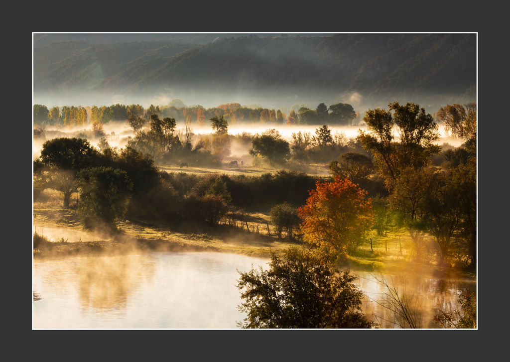 TAPA農場晨光~加邊框 TAPA農場晨光~加邊框