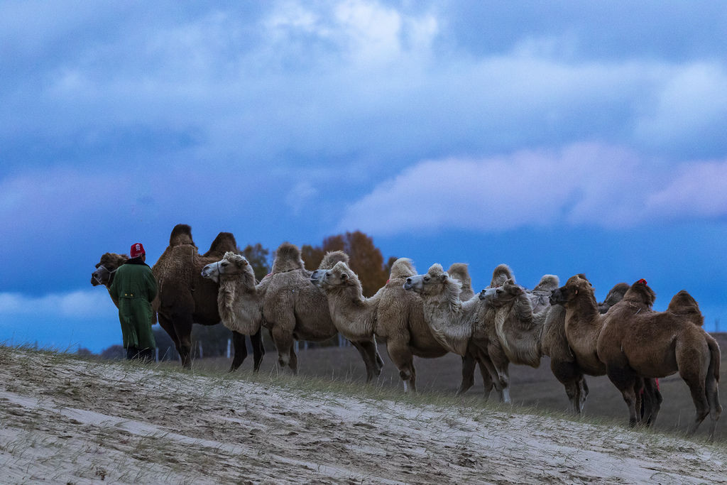 內蒙萬里長城與草原風光_3393