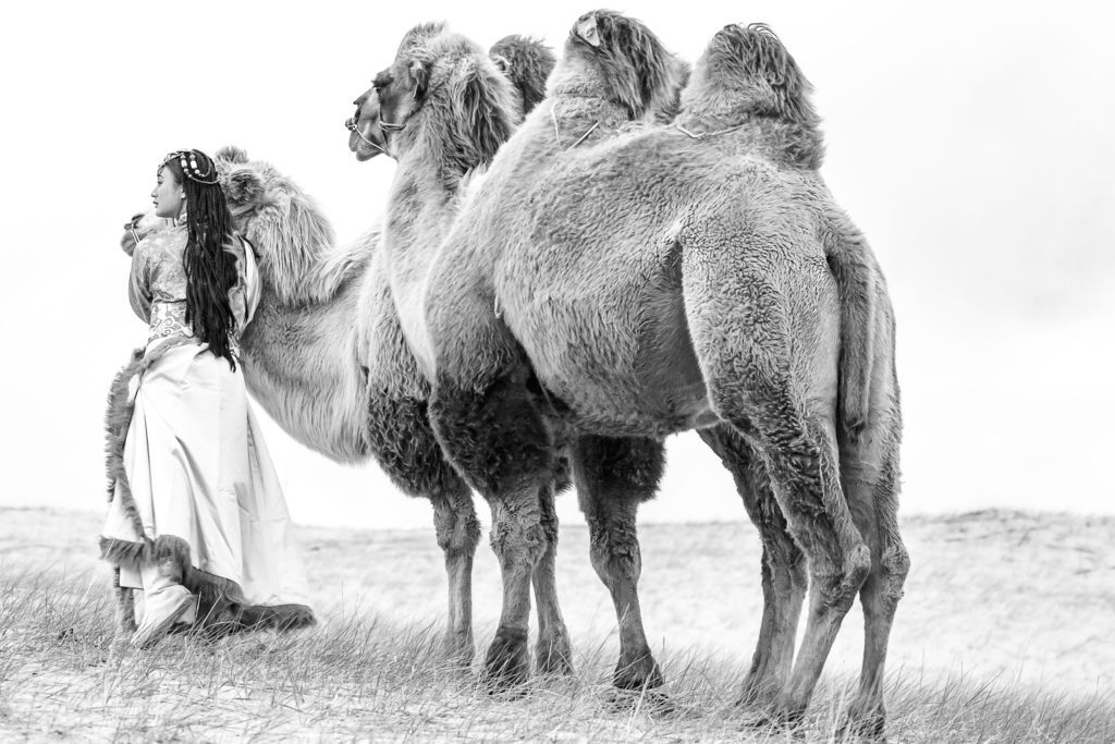 內蒙萬里長城與草原風光_3832_1