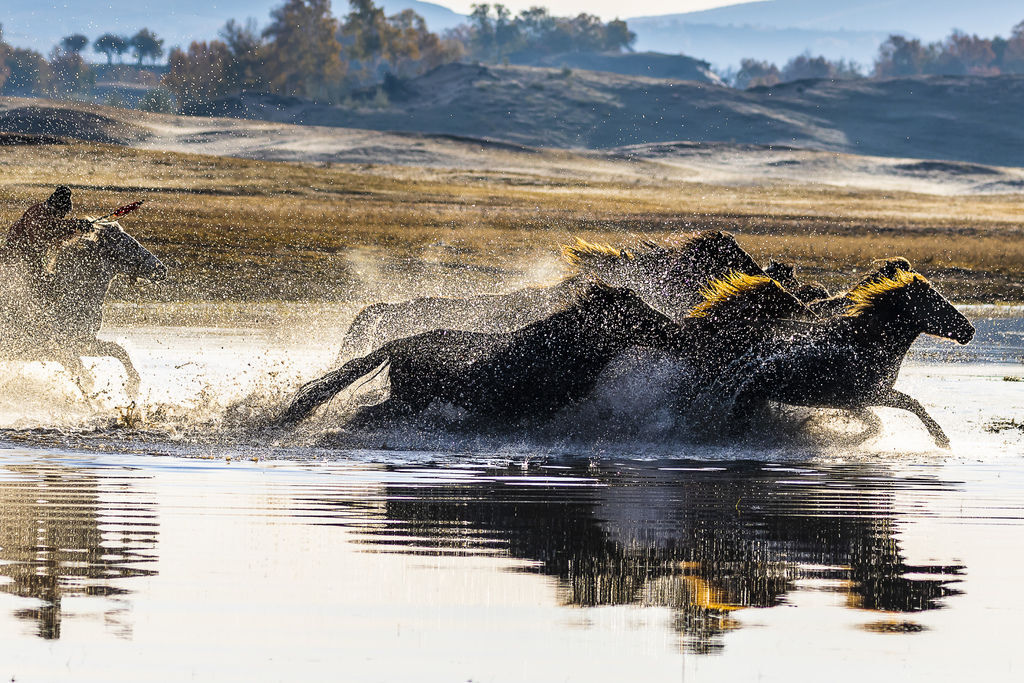 外蒙古5_6076 外蒙古5_6076