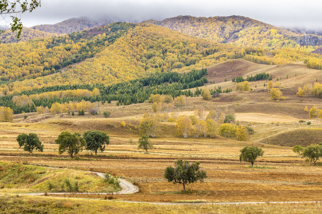 內蒙古3_7809_2.jpg 內蒙古3_7809_2.jpg