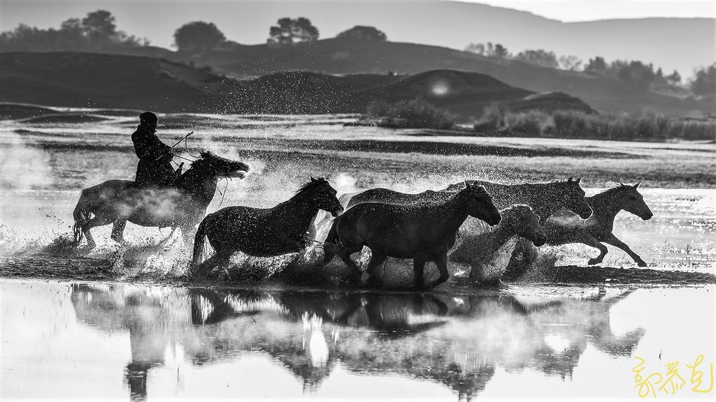 Horses crossing the river at dawn_LI