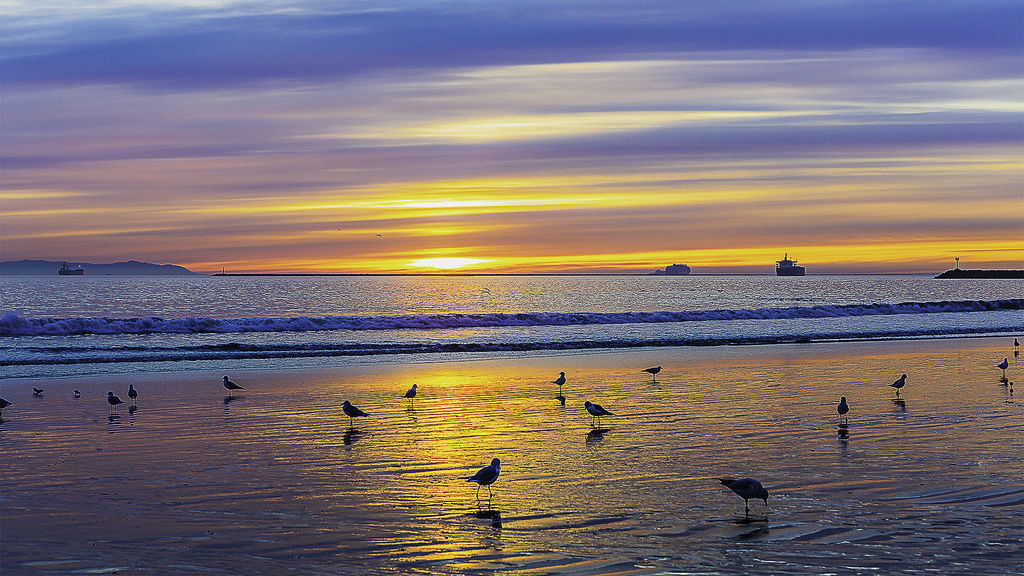 Evening color and seagull.jpg Evening color and seagull.jpg