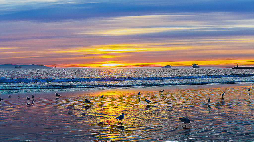 Evening color and seagull.jpg