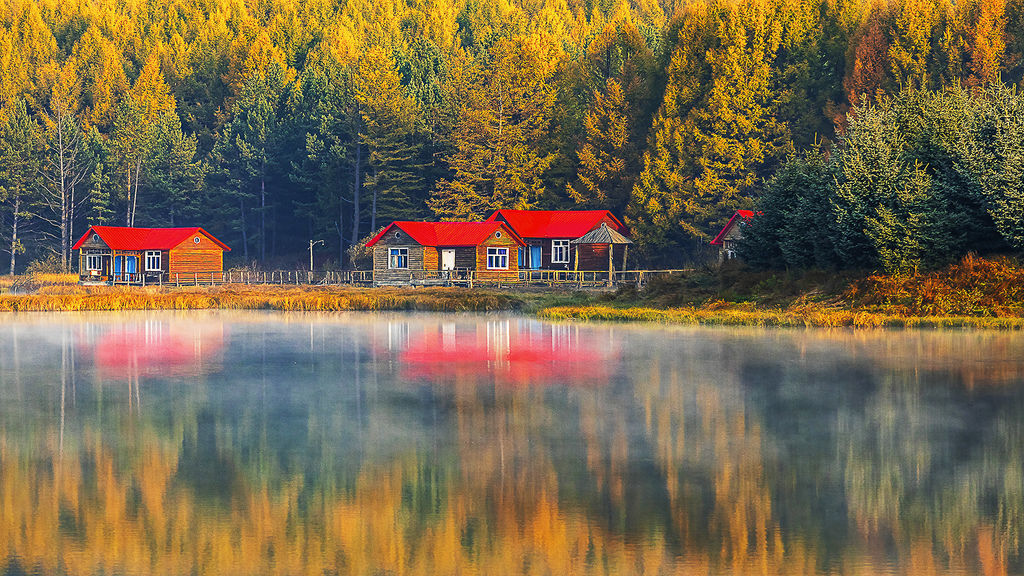 Morning light and autumn.jpg Morning light and autumn.jpg