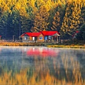 Morning light and autumn_LI.jpg