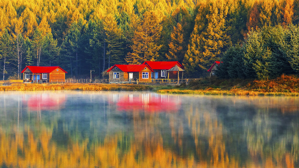 Morning light and autumn.jpg Morning light and autumn.jpg