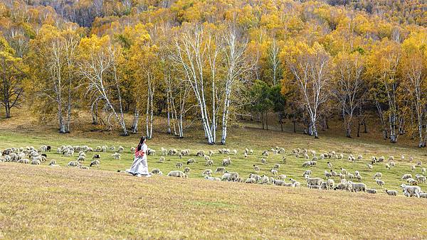 Flock and shepherdess on the prairie - 複製 - 複製.jpg