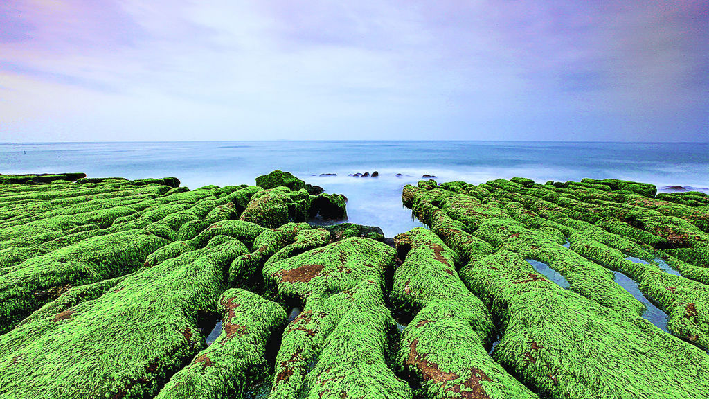 Greenstone trough-1.jpg