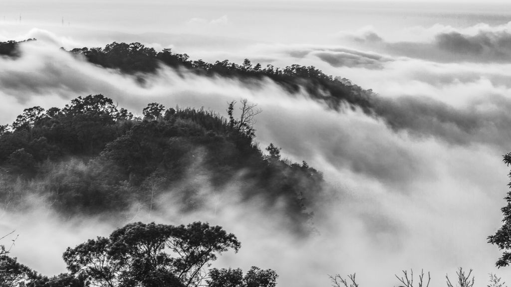 00071頂石棹-1.jpg 00071頂石棹-1.jpg