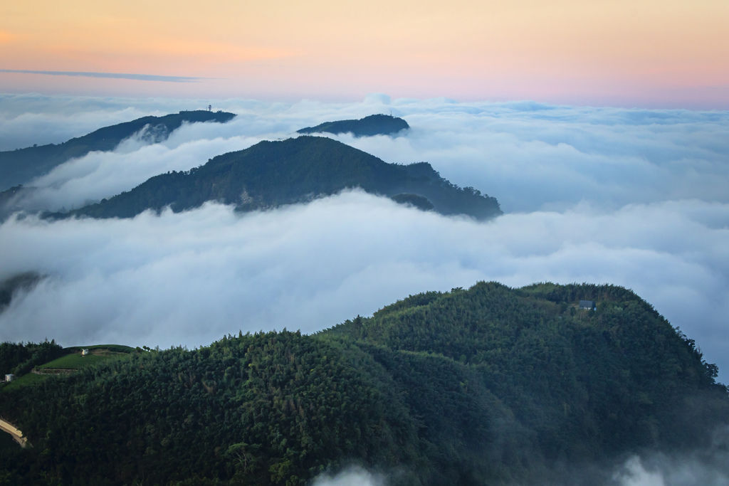 20191106阿里山頂石棹_4146-1.jpg