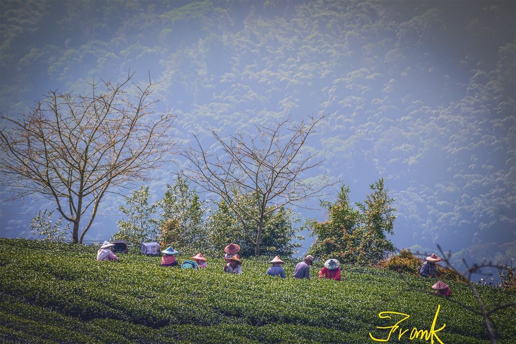 20191110龍巖_4594-2_LI.jpg 20191110龍巖_4594-2_LI.jpg