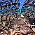 The happiness on the bamboo fence bridge.jpg