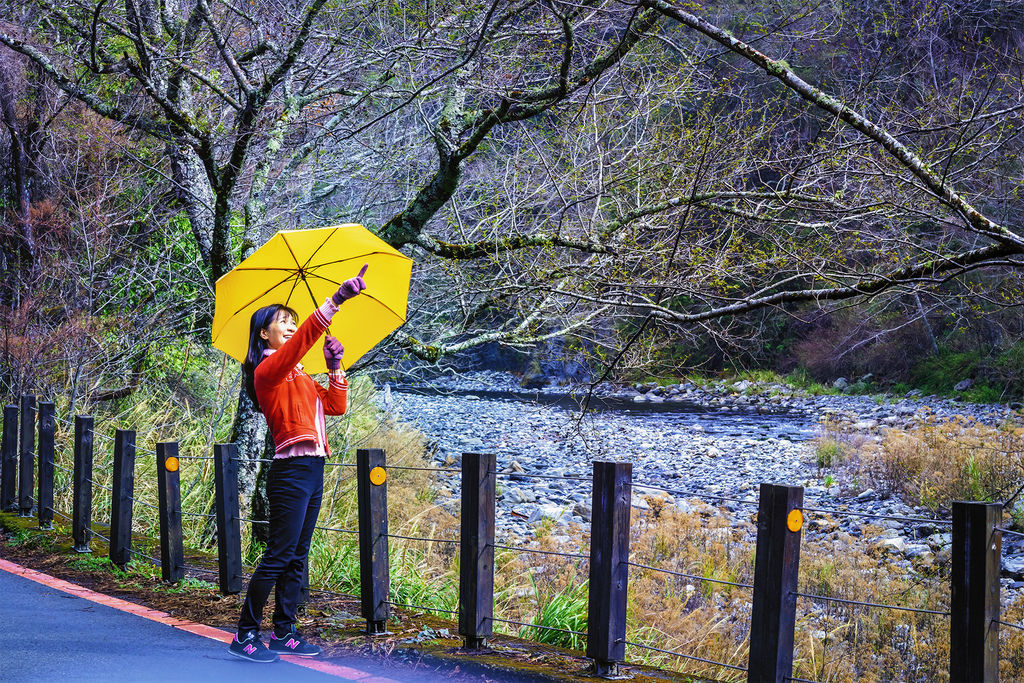 202002222頂石桌與瓦盤鹽田~202003093.jpg 202002222頂石桌與瓦盤鹽田~202003093.jpg