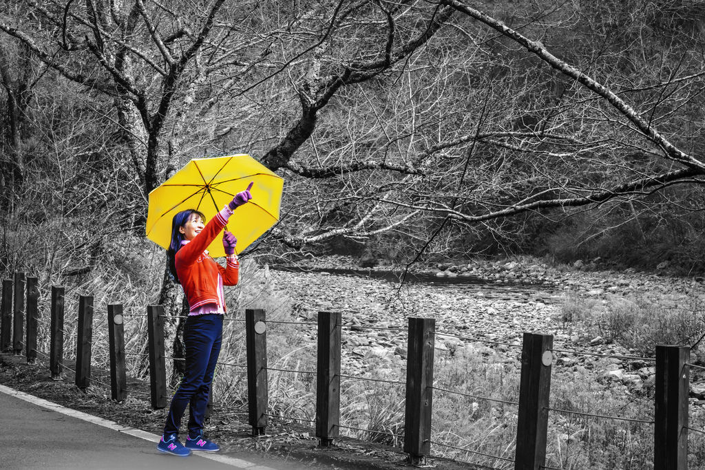 202002222頂石桌與瓦盤鹽田~202003092.jpg 202002222頂石桌與瓦盤鹽田~202003092.jpg