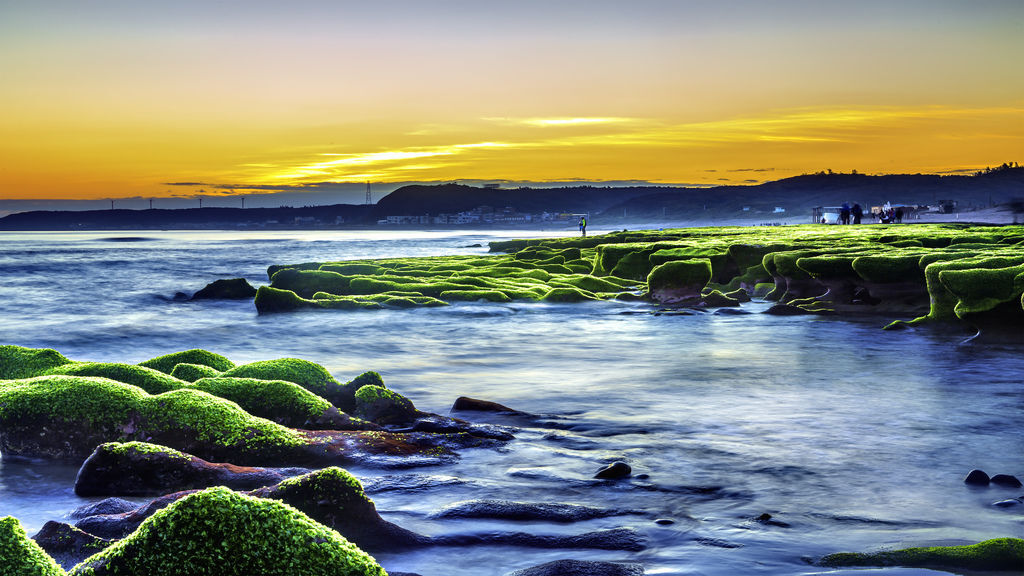 20200226老梅綠石鑿_2363-2-1.jpg 20200226老梅綠石鑿_2363-2-1.jpg