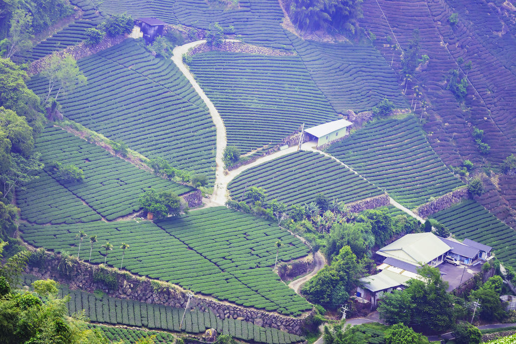 20200502世外桃源之三_9973-2.jpg 20200502世外桃源之三_9973-2.jpg