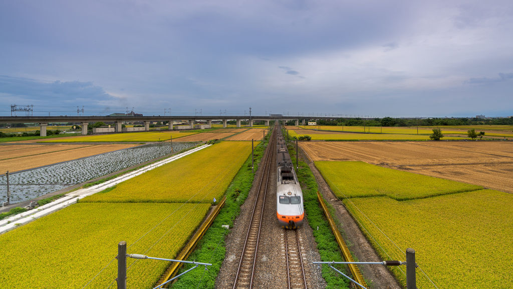 20200609白河阿勃勒與官田火車稻田_6865-1.jpg