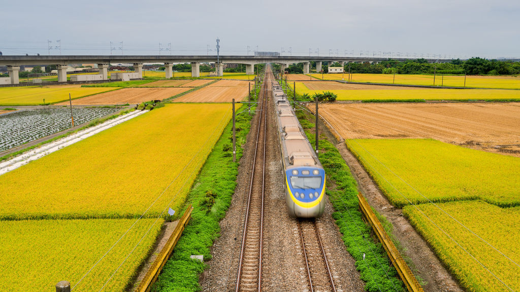 20200609白河阿勃勒與官田火車稻田_6711-1.jpg