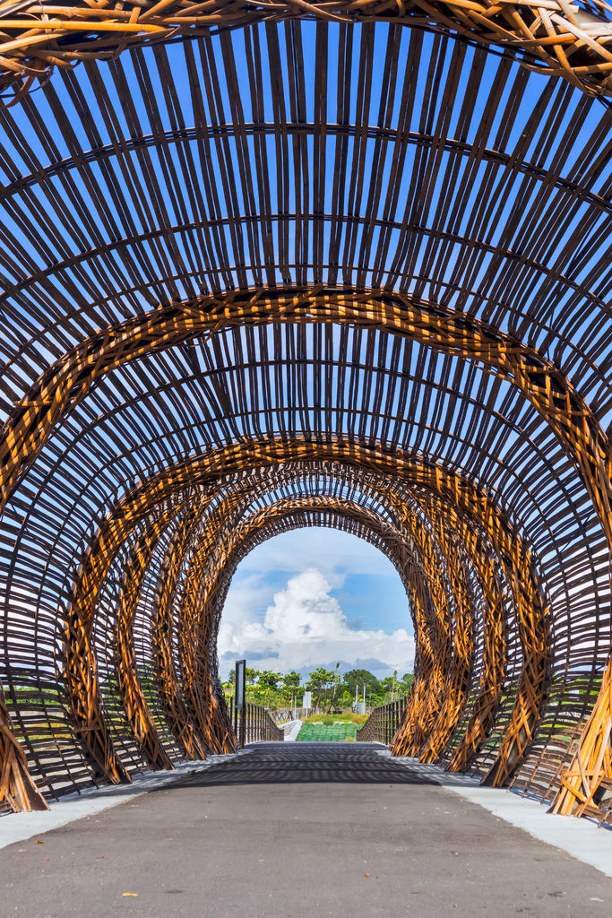 20200622台南北門蘆竹溝田野風光_7163-1.jpg 20200622台南北門蘆竹溝田野風光_7163-1.jpg