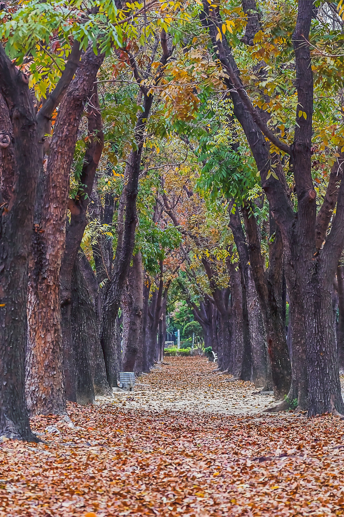 202103300060420210330嘉義世賢路1_7214-1.jpg 202103300060420210330嘉義世賢路1_7214-1.jpg